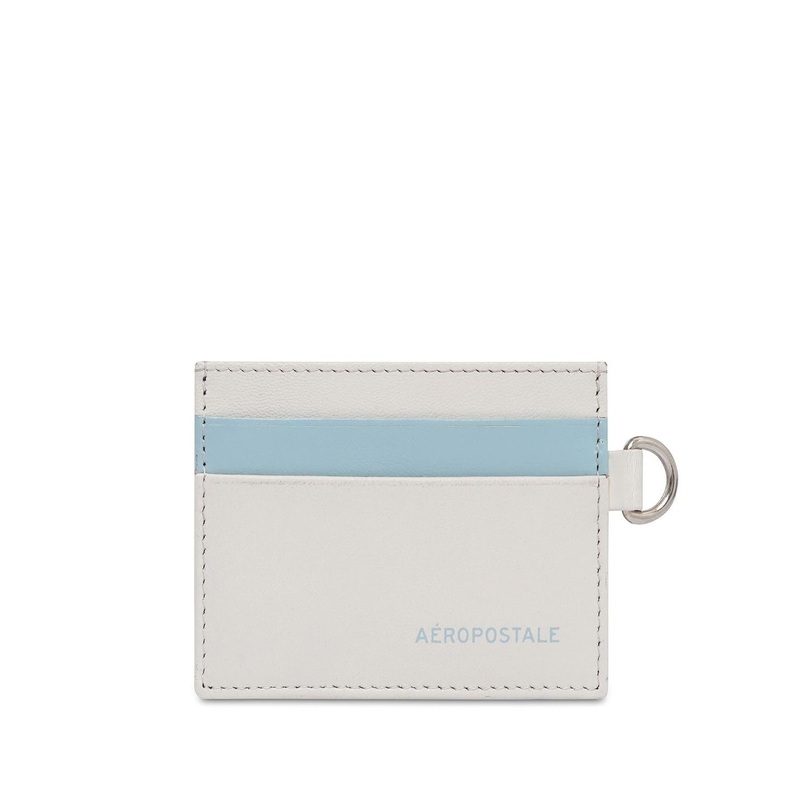 Aeropostale Men Colourblocked Leather Card Holder