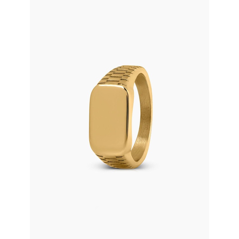 SWASHAA Men Argo Crest Band Signet Ring