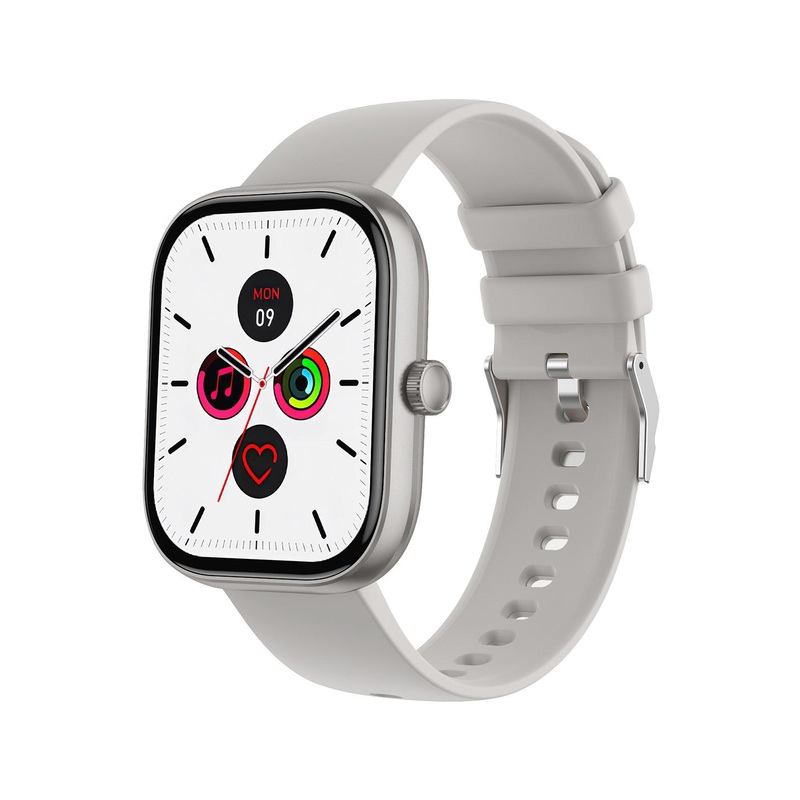 Timex iConnect Arc 2.01\