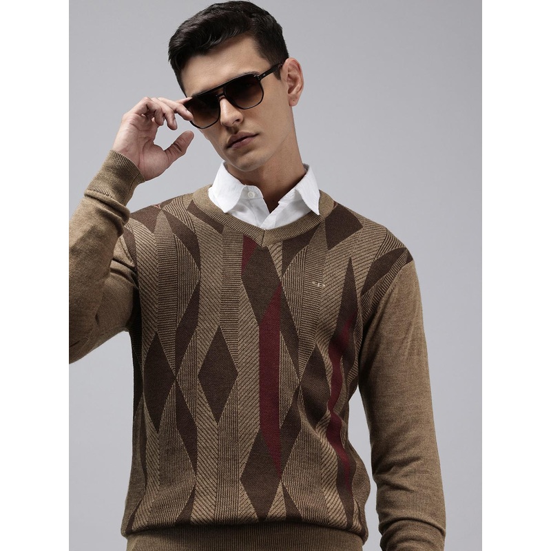 ColorPlus Geometric Self Design V-Neck Pullover Sweaters
