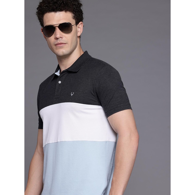 Allen Solly Colourblocked Polo Collar T-shirt