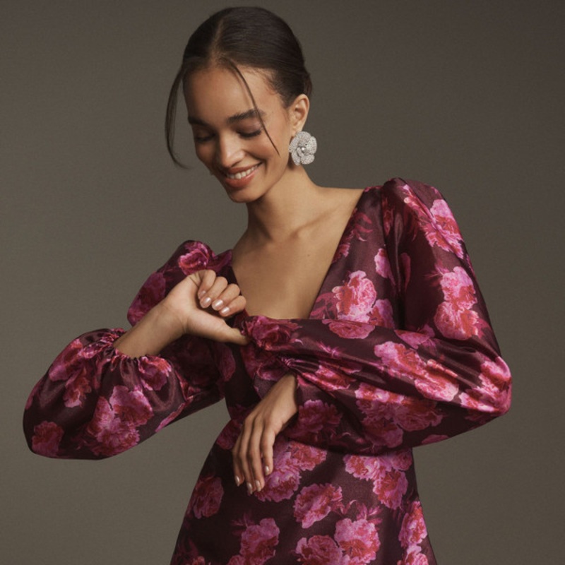 Long Sleeve Organza Mini Dress